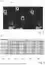 Fig. 03 - DEVICE AND METHOD FOR UNMIXING IMAGES