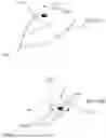 Fig. 16 - PERSPECTIVE RULER DISPLAY METHOD AND COMPUTER-READABLE MEDIUM