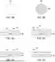 Fig. 07 - Method for Collective Dishing of Singulated Dies