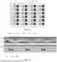 Fig. 03 - DISPLAY SUBSTRATE, PREPARATION METHOD THEREOF, AND DISPLAY APPARATUS