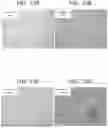 Fig. 43 - FOAMED SOLE COMPONENTS AND METHOD FOR MAKING A SOLE WITH FOAMED SOLE COMPONENTS