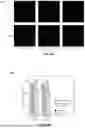 Fig. 09 - CELL-LADEN BIOINK CIRCULATION-ASSISTED INKJET-BASED BIOPRINTING TO MITIGATE CELL SEDIMENTATION AND AGGREGATION