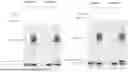 Fig. 01 - AMINO ACID ACTIVE ESTER AND SALT THEREOF