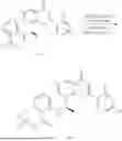 Fig. 142 - PI3K INHIBITOR, PREPARATION METHOD THEREFOR, AND USE THEREOF