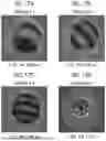 Fig. 17 - OPTICAL MEMBER AND METHOD OF PRODUCING OPTICAL MEMBER