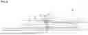 Fig. 07 - OPTICAL MODULE AND OPTICAL CONNECTOR CABLE
