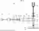 Fig. 02 - BRIGHT- AND DARK-FIELD MICROSCOPE FOR BIOLOGICAL TISSUE ANALYSIS