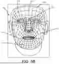 Fig. 09 - FITTING OF HEAD MOUNTED WEARABLE DEVICE FROM TWO-DIMENSIONAL IMAGE