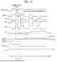 Fig. 09 - POWER SUPPLY CONTROL DEVICE
