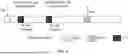 Fig. 05 - TIME RESTRICTION AND CPU OCCUPATION OF TIME DOMAIN CHANNEL PROPERTY (TDCP) REPORTING METHOD
