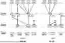 Fig. 06 - Radio Link Quality Control in Network Energy Saving