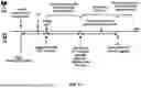 Fig. 32 - Radio Link Quality Control in Network Energy Saving