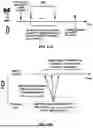 Fig. 48 - Radio Link Quality Control in Network Energy Saving