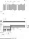 Fig. 02 - SOLAR CELL AND PHOTOVOLTAIC MODULE