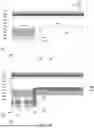 Fig. 07 - SOLAR CELL AND PHOTOVOLTAIC MODULE