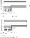 Fig. 08 - SOLAR CELL AND PHOTOVOLTAIC MODULE