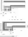 Fig. 09 - SOLAR CELL AND PHOTOVOLTAIC MODULE