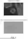Fig. 02 - USE OF AMINO ACID PEPTIDE SOLUTION PRODUCED BY DECOMPOSITION OF FISH SCALE USING BACILLUS VELEZENSIS FOR HEALTHY AND STRONG GROWTH OF GRAMINEAE SEEDLING AND GROWTH PROMOTION OF GRAMINEAE