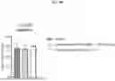 Fig. 07 - MANUFACTURING SYSTEMS AND METHODS FOR CELLULAR THERAPEUTIC PLATFORMS