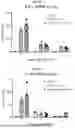 Fig. 11 - MANUFACTURING SYSTEMS AND METHODS FOR CELLULAR THERAPEUTIC PLATFORMS