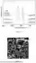 Fig. 03 - ANODE MATERIAL FOR HIGH-CAPACITY SODIUM-ION BATTERY, PREPARATION METHOD THEREOF, AND BATTERY
