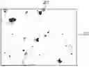 Fig. 01 - Powder for Manufacturing Ceramic Structures and Method for Manufacturing Ceramic Structure Using the same