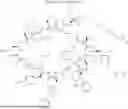 Fig. 1981 - MACROCYCLIC IMMUNOMODULATORS