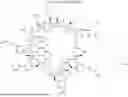 Fig. 2131 - MACROCYCLIC IMMUNOMODULATORS