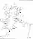 Fig. 366 - MACROCYCLIC IMMUNOMODULATORS