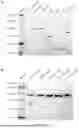 Fig. 02 - PHASE TRANSITION ADJUSTING ELEMENT AND USE THEREOF