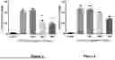 Fig. 03 - ANTITHROMBIN IN STROKE