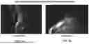 Fig. 04 - METHODS OF PRODUCING A TISSUE DERIVED EXTRACELLULAR MATRIX HYDROGEL