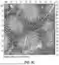 Fig. 12 - METHODS OF PRODUCING A TISSUE DERIVED EXTRACELLULAR MATRIX HYDROGEL