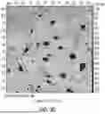 Fig. 13 - METHODS OF PRODUCING A TISSUE DERIVED EXTRACELLULAR MATRIX HYDROGEL