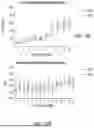 Fig. 17 - METHODS OF PRODUCING A TISSUE DERIVED EXTRACELLULAR MATRIX HYDROGEL