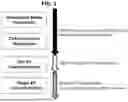 Fig. 02 - METHODS AND SYSTEMS FOR DEVELOPING MEDIA FOR EXTRACELLULAR VESICLE PRODUCTION