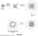 Fig. 08 - BROAD SPECTRUM NANOZYMES