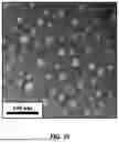 Fig. 35 - BROAD SPECTRUM NANOZYMES
