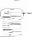 Fig. 02 - COMPOSITIONS AND METHODS FOR GENOME EDITING
