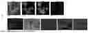 Fig. 06 - MANGANESE FERRITE MAGNETIC NANOPARTICLE, PREPARATION METHOD AND APPLICATION THEREOF