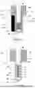 Fig. 04 - CONSUMABLE ASSEMBLY FOR AN AEROSOL-GENERATING SYSTEM