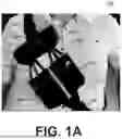 Fig. 02 - MULTI-RECEPTACLE CARRYING AND STORAGE ARTICLE