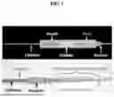 Fig. 02 - BALLOON DELIVERY SYSTEM FOR THE IMPLANT DEPLOYMENT