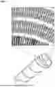 Fig. 02 - COMPOSITIONS AND METHODS FOR TREATING AND AMELIORATING RESPIRATORY CONDITIONS AND INFLAMMATION OF MUCOSA
