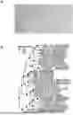 Fig. 01 - BACTERIAL STRAINS FOR TREATING DISEASE