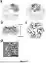 Fig. 02 - POLYPEPTIDES SELF-ASSEMBLING INTO NANOPARTICLES