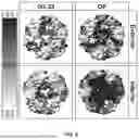Fig. 09 - POLYPEPTIDES SELF-ASSEMBLING INTO NANOPARTICLES