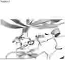 Fig. 52 - COMPOSITIONS AND METHODS FOR MICROGLIA REPLACEMENT THERAPY