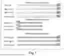 Fig. 02 - RECOMBINASE POLYMERASE AMPLIFICATION
