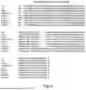 Fig. 09 - RECOMBINASE POLYMERASE AMPLIFICATION